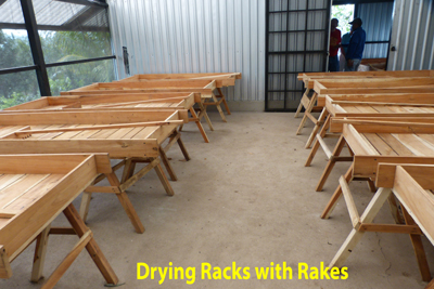 Drying Trays and Rakes